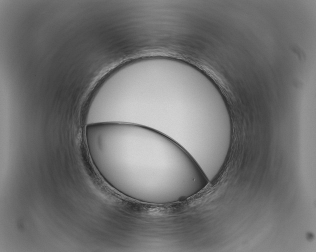 X0000111240064200907021007