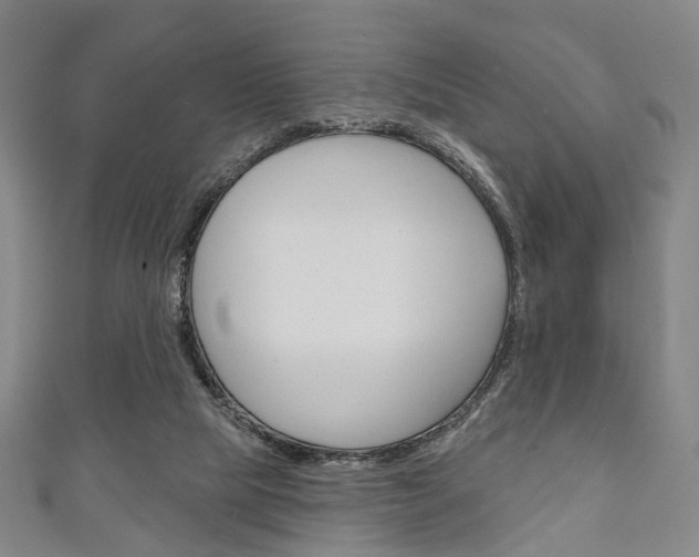 X0000111240065200907021007