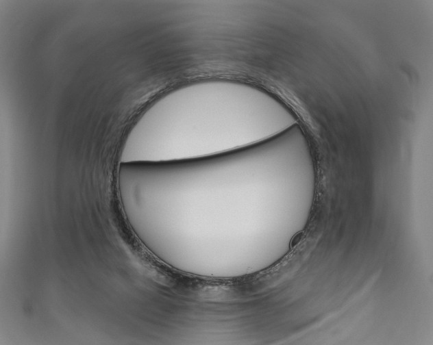 X0000111240066200907021007