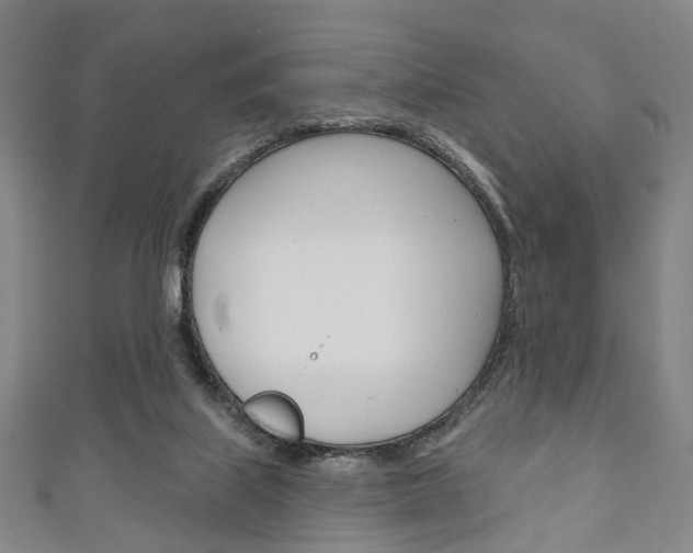 X0000111240067200907021007