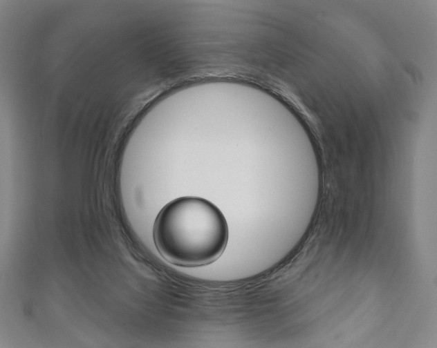 X0000111240068200907021007