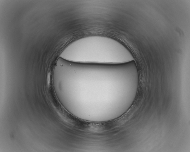 X0000111240070200907021007