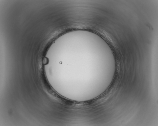 X0000111240072200907021007
