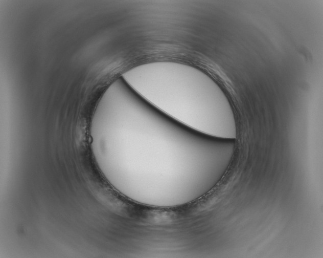 X0000111240073200907021007