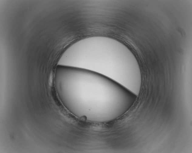 X0000111240076200907021007