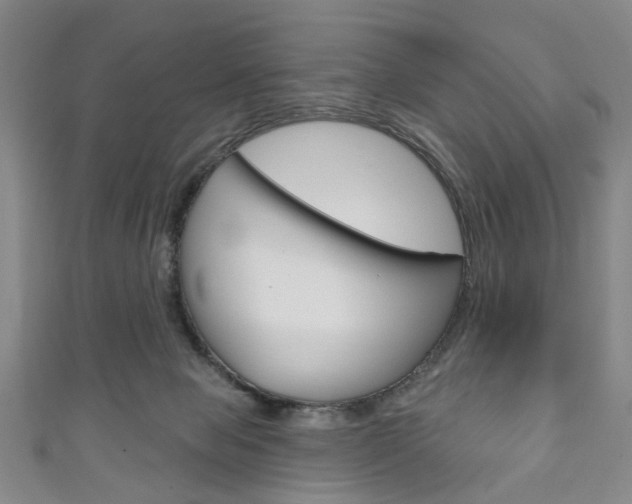 X0000111240077200907021007