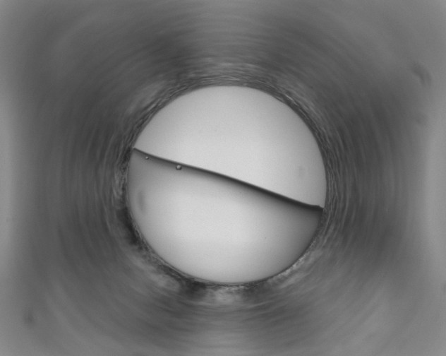 X0000111240078200907021007
