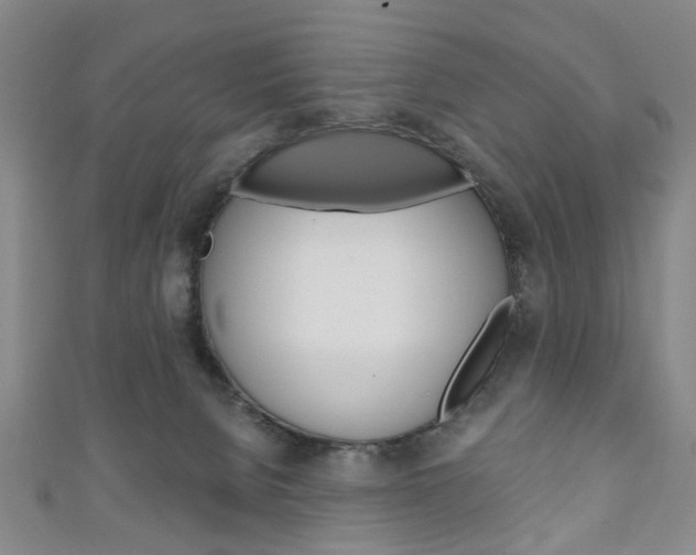 X0000111240080200907021007