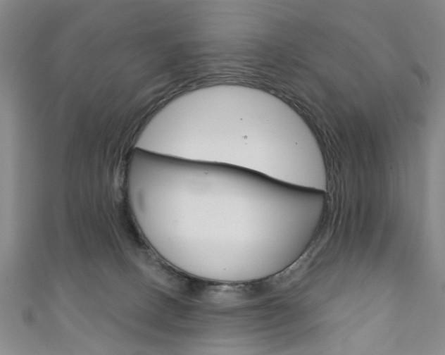 X0000111240082200907021007