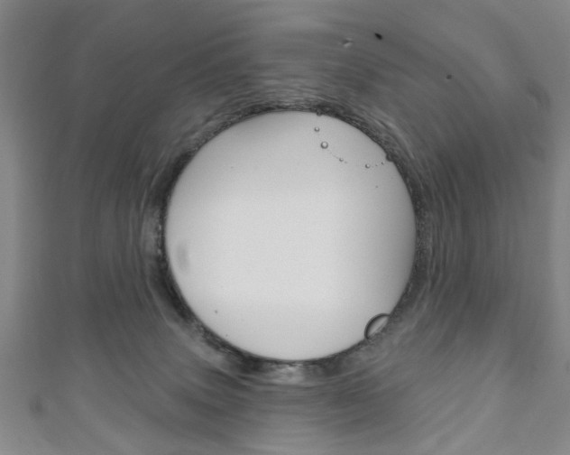 X0000111240083200907021007