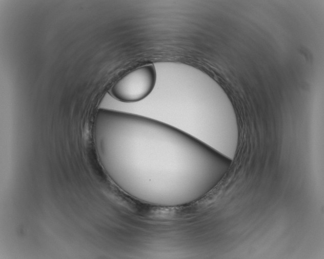 X0000111240084200907021007
