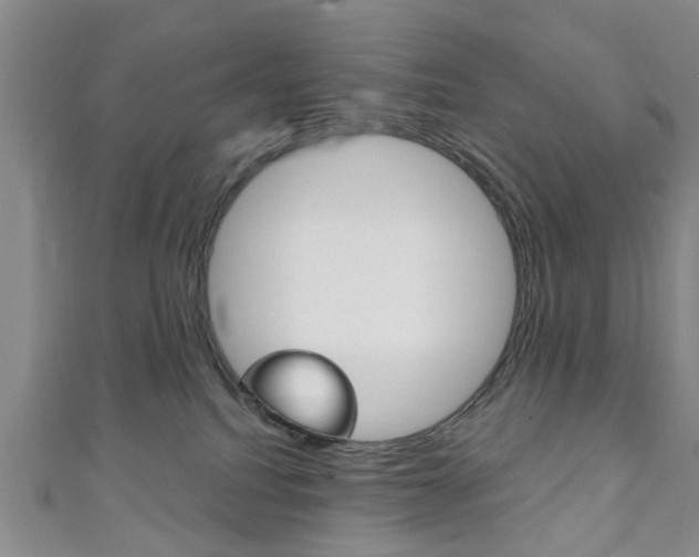 X0000111240088200907021007