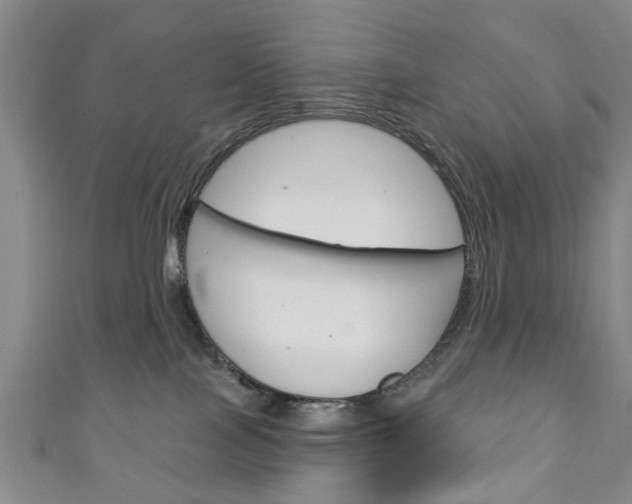 X0000111240089200907021007