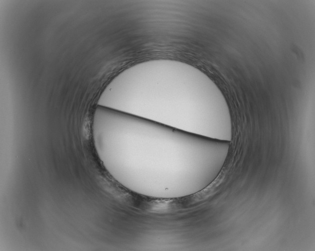 X0000111240090200907021007