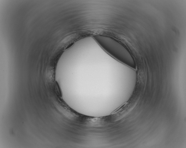 X0000111240092200907021007