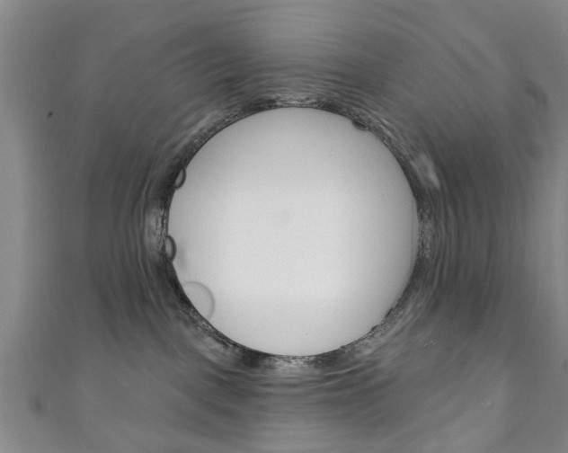 X0000111240093200907021007