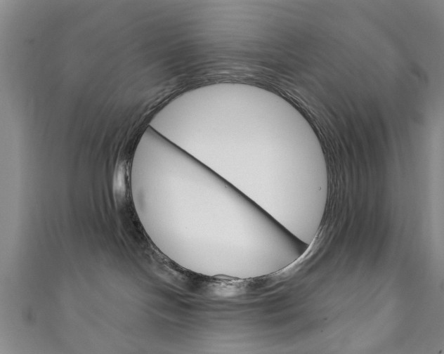 X0000111240094200907021007