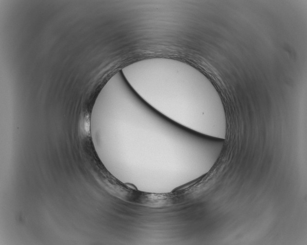 X0000111240095200907021007