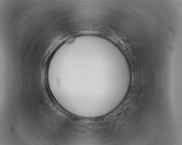X0000111240098200907021007