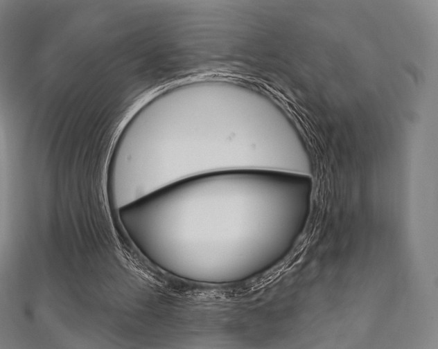 X0000111240100200907021007
