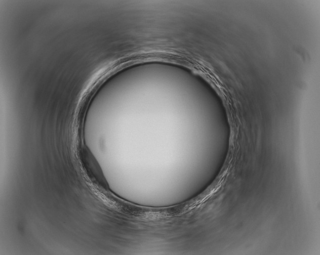 X0000111240101200907021007