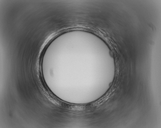 X0000111240102200907021007