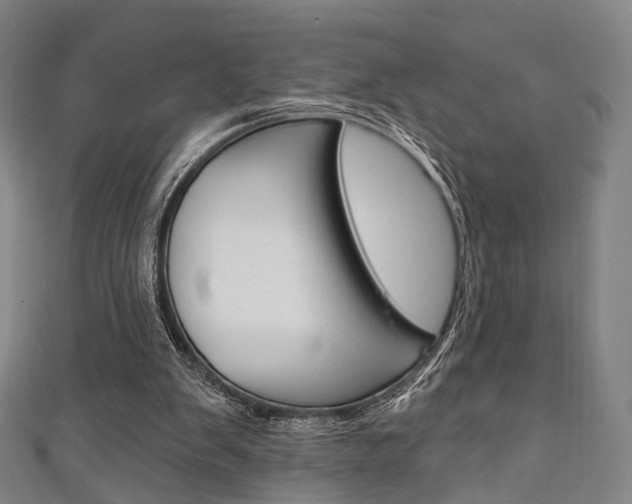 X0000111240103200907021007