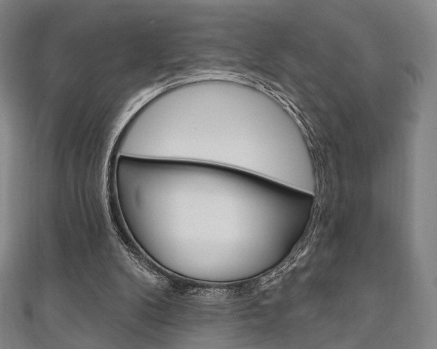 X0000111240104200907021007