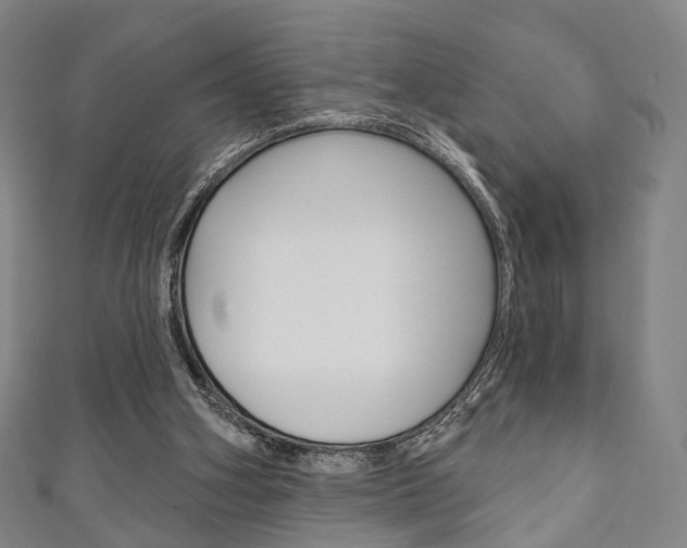 X0000111240106200907021007