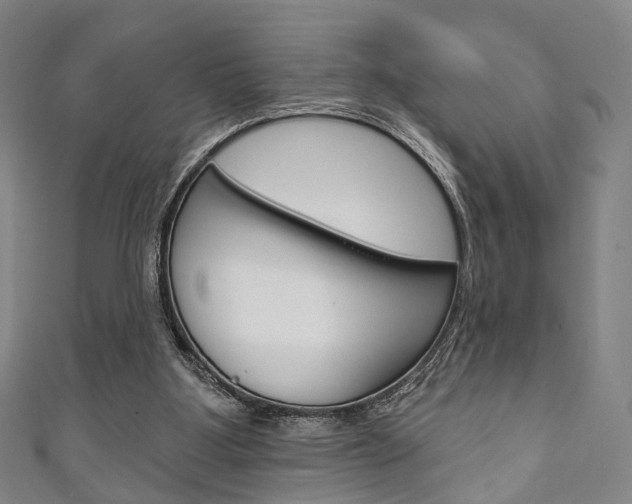 X0000111240107200907021007