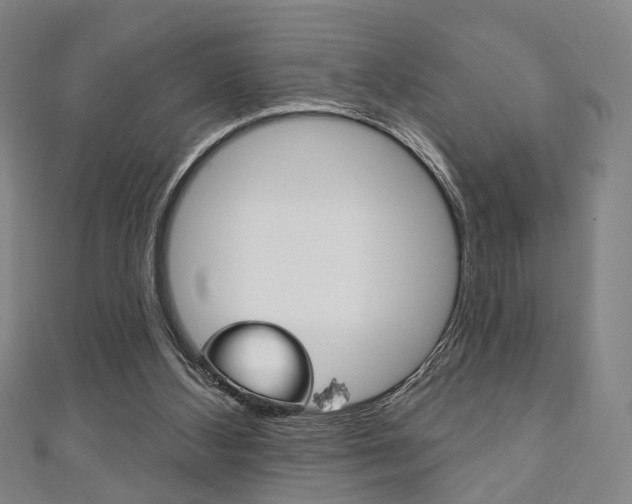X0000111240108200907021007