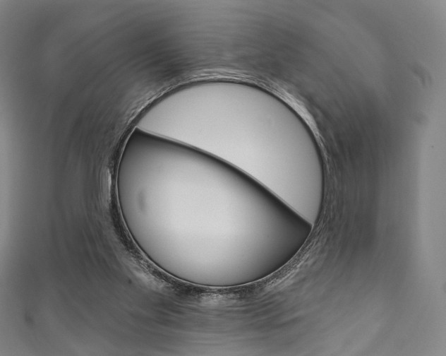 X0000111240109200907021007