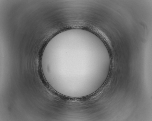 X0000111240113200907021007