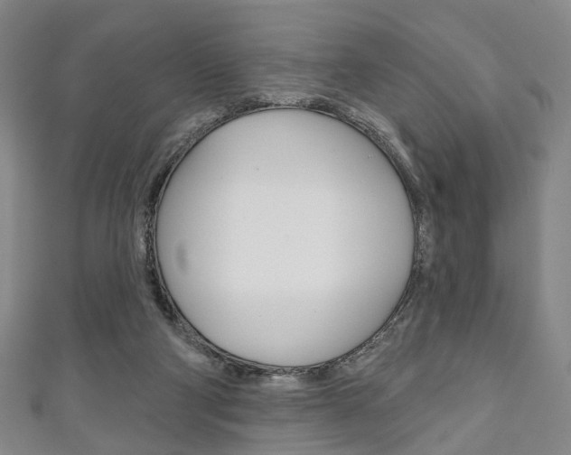 X0000111240114200907021007
