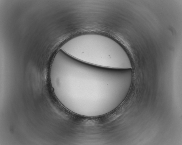 X0000111240115200907021007