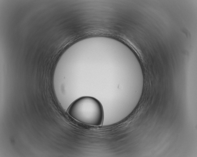 X0000111240117200907021007