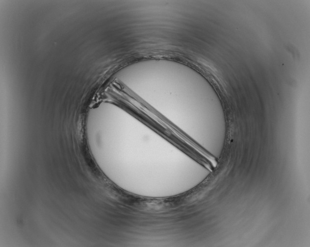 X0000111240121200907021007