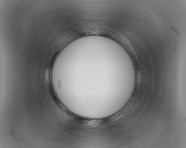 X0000111240122200907021007