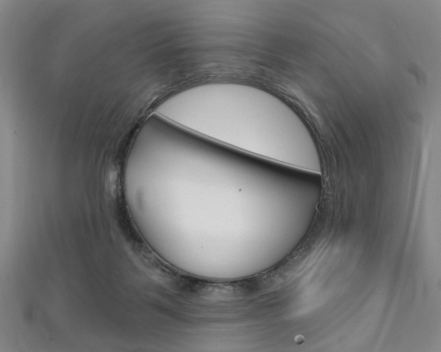 X0000111240123200907021007