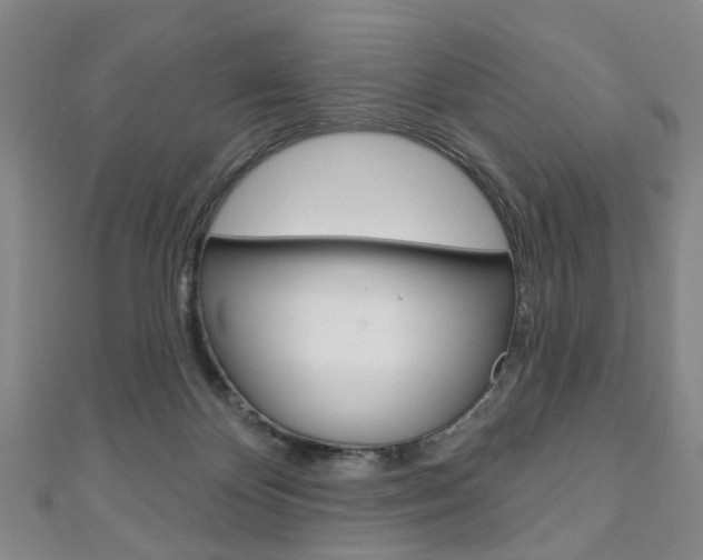 X0000111240124200907021007