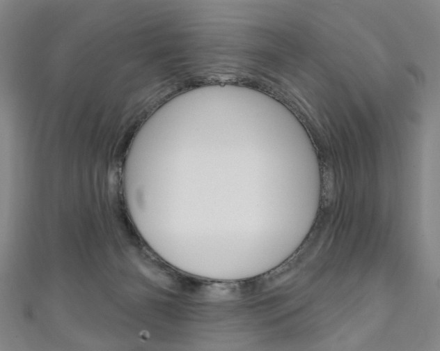 X0000111240126200907021007