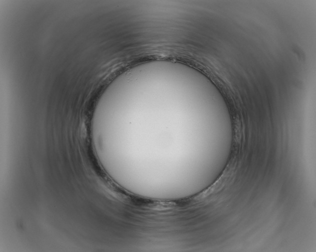 X0000111240128200907021006