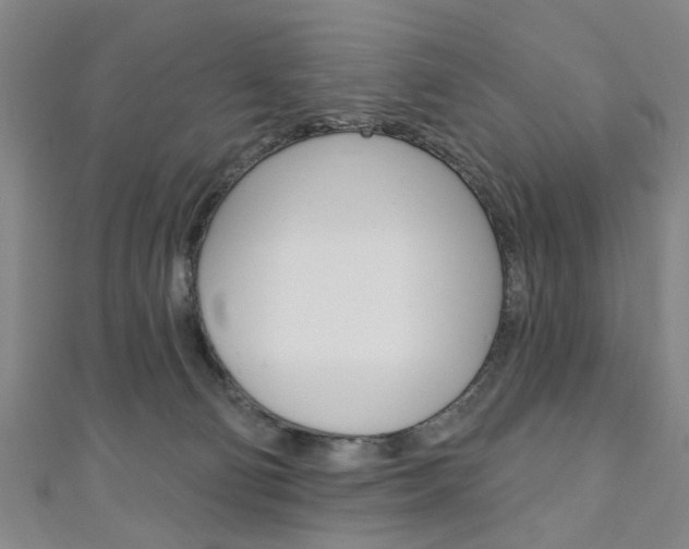 X0000111240130200907021006