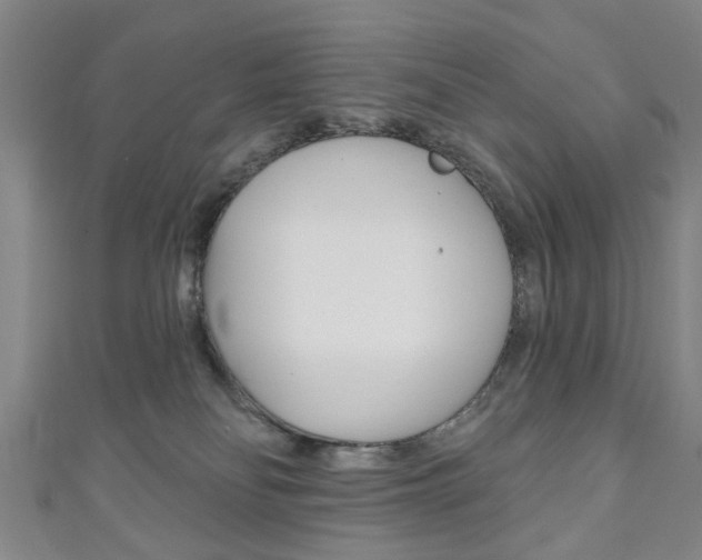 X0000111240134200907021006