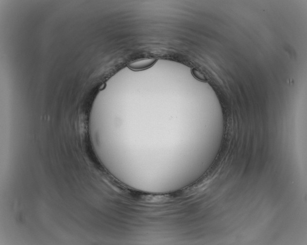 X0000111240135200907021006