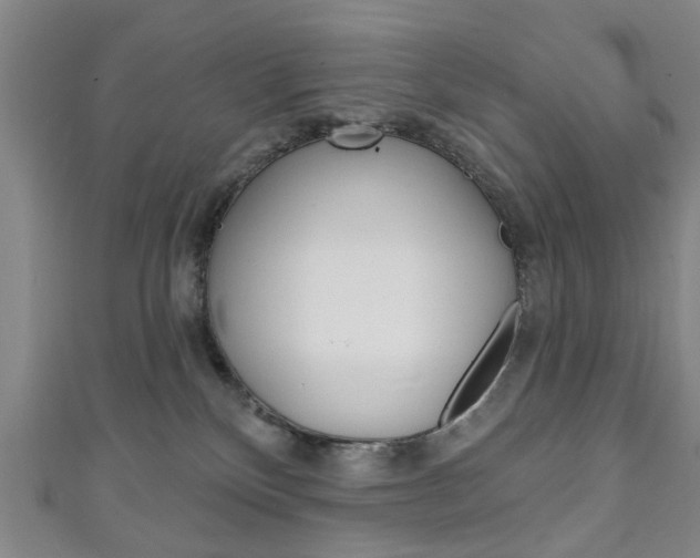 X0000111240136200907021006