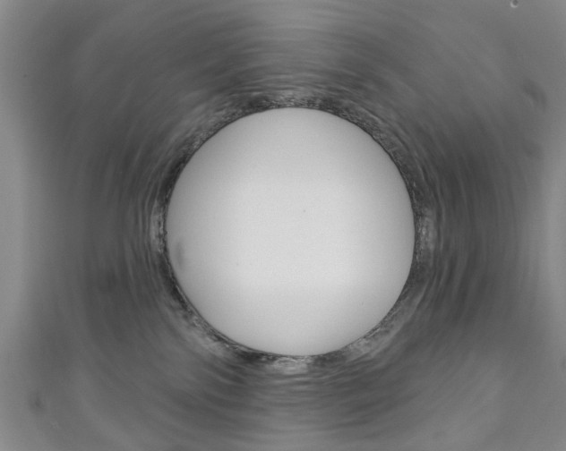 X0000111240138200907021006