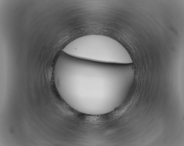 X0000111240139200907021006
