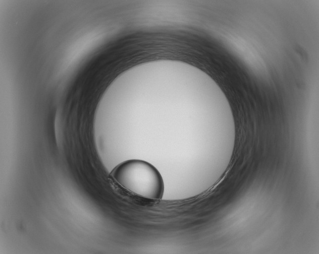 X0000111240140200907021006