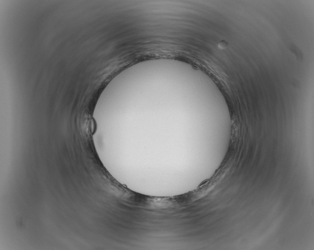 X0000111240141200907021006